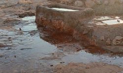 Şanlıurfa’da Örnek İnsanlık! Susuz Kalan Hayvanlar İçin Seferber Oldu
