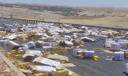 Şanlıurfa’da Sıvı Yağ Yüklü Tır Devrildi!