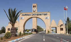 Harran Üniversitesi 406 Personel Alacak! İşte Kadro Dağılımı ve Şartlar