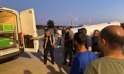 Urla'da Bulunan İsmail Ekin'in Cenazesi Memleketi Şanlıurfa'ya Ulaştı