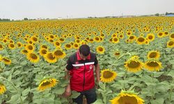 Ataması Yapıldı Ama Görevi Bırakmadı! Eyyübiye’de Tarlaları Tek Tek Geziyor