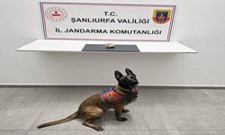 Şanlıurfa’da Uyuşturucu Operasyonu! Ele Geçirilen Madde Şoke Etti