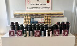 Viranşehir ve Haliliye’de Jandarma Harekete Geçti! 11 Şüpheliye İşlem