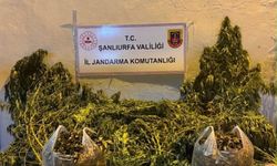 Halfeti ve Eyyübiye’de Jandarma Operasyonu!