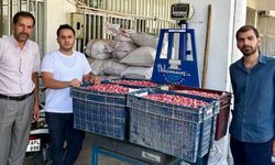 Şanlıurfa'da Fıstık Heyecanı! İlk Ürünün Fiyatı Dikkat Çekti
