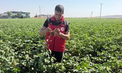 İsa İzgi: Sağlıklı Üretim, Bereketli Hasatlar İçin Sahadayız