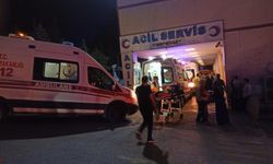 Bozova'da Bıçaklı Kavga, 1 Yaralı
