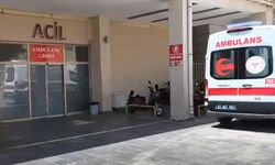 Şanlıurfa'da taşlı sopalı kavga. 4 yaralı