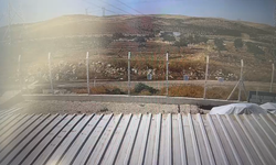 Şanlıurfa’da 4 Kişinin Öldüğü Feci Kaza Kamerada