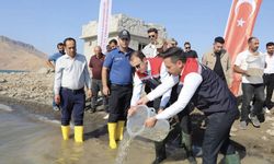 Bozova’da Üretildi, 9 İle Gönderildi! Milyonlarca Balık İçin Büyük Çalışma
