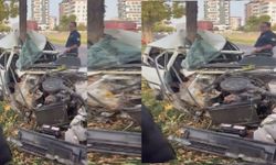 Siverek’te Korkunç Kaza! Otomobil Ağaca Çarpıp İkiye Bölündü