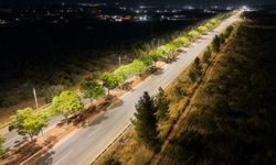 Dicle Elektrik’ten Şanlıurfa GAP Havalimanı Yoluna Aydınlatma Yatırımı