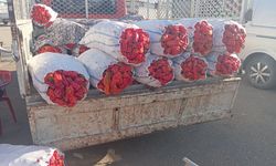 Şanlıurfa’da isot fiyatları çakıldı! 35 TL’den 20 TL’ye düştü