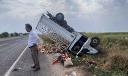 Akçakale Yolunda Kamyonet Takla Atıp Şarampole Uçtu