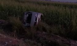 Akçakale’de otomobil mısır tarlasına devrildi: 3 yaralı