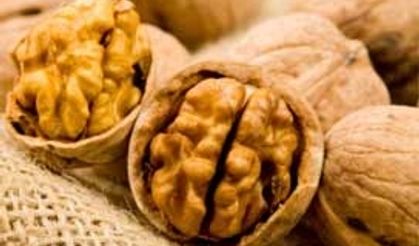 Kınalı eller 20 bin ton ceviz üretecek