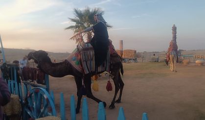 Harran’a Turist Akını: Develerle Tarihe Yolculuk Başladı!