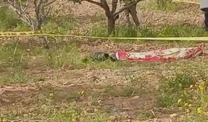 Şanlıurfa’da Tarlada Çalışırken Feci Ölüm