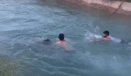 Şanlıurfa’da Otomobil Sulama Kanalına Uçtu: 3 Yaralı