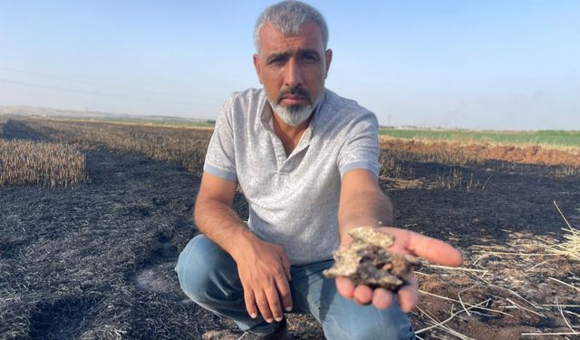 Şanlıurfa’da Öğrencilere Anız yakmanın zararları hakkında eğitim varildi
