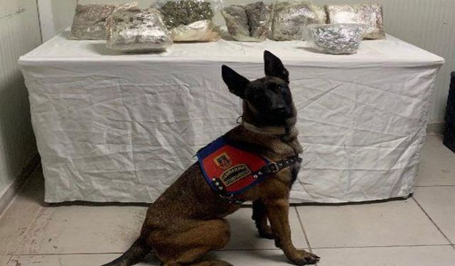 Şanlıurfa’da 9 kilo 750 gram kubar esrar ele geçirdi