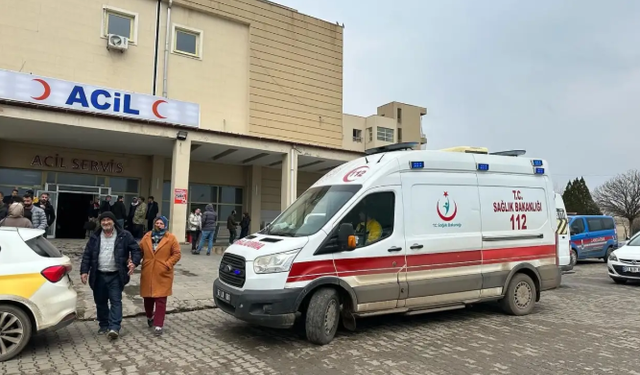 Siverek’te feci kaza: Sürücüsü öldü, eşi yaralandı