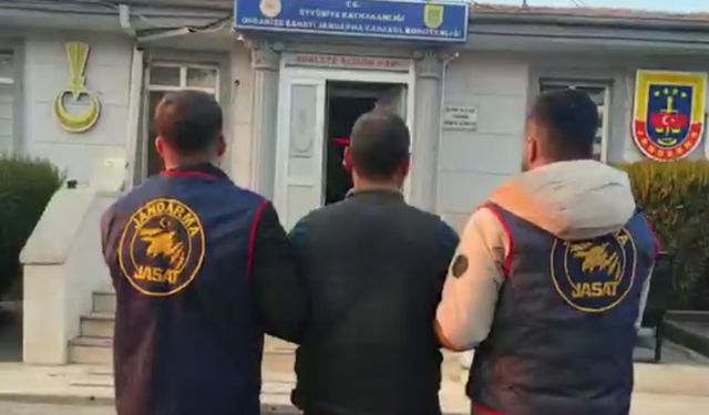 Şanlıurfa jandarmadan operasyon, 12 gözaltı