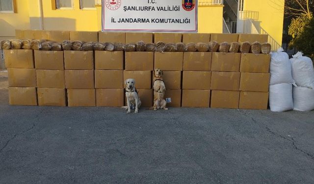 Şanlıurfa'da 11 Ton Kaçak Tütün Ele Geçirildi