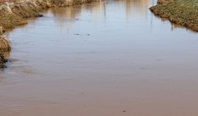 Şanlıurfa’da İsraf Edilen Su İle Bir Ova Sulanabilir