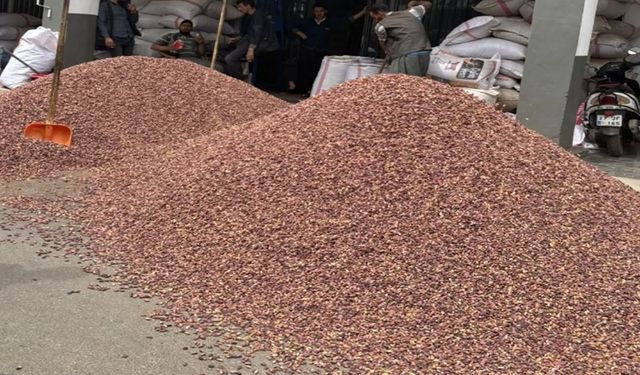 Şanlıurfa'da güncel fıstık fiyatları açıklandı!