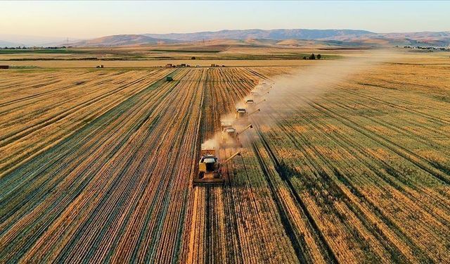 Şanlıurfa’daki çiftçileri sevindiren haber geldi!