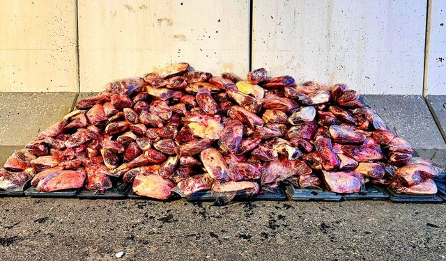 Jandarma’dan Şok Operasyon: 1,7 Ton Mühürsüz Büyükbaş Eti İmha Edilecek