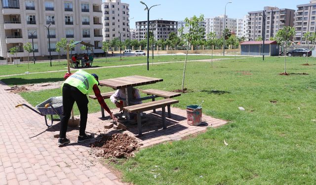 Haliliye’de Parklar İçin Tasarruflu Üretim Modeli