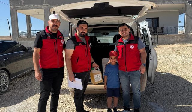 Şanlıurfa'da Mahalleyi Çekirgeler İstila Etti