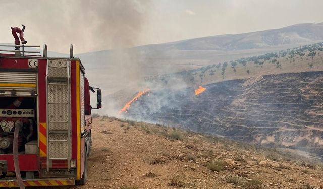 Birecik'te Orman Yangını: Rüzgar Alevleri Yaydı, Müdahale Sürüyor