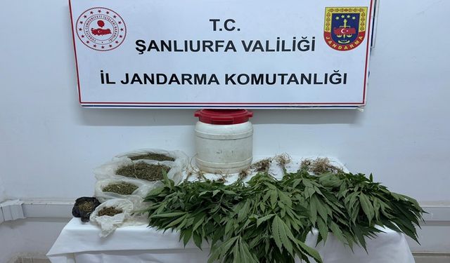 Suruç’ta Ev Baskınında Uyuşturucu Yakalandı