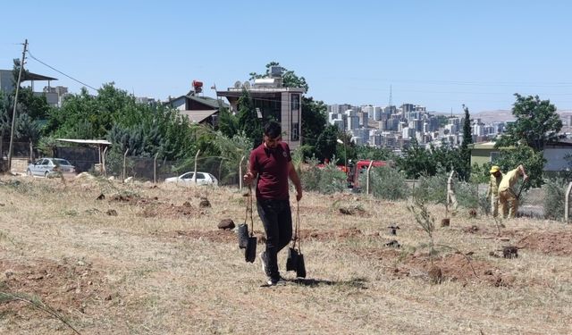 Şanlıurfa’da boş buldular: Ama Ekipler Fark Etti