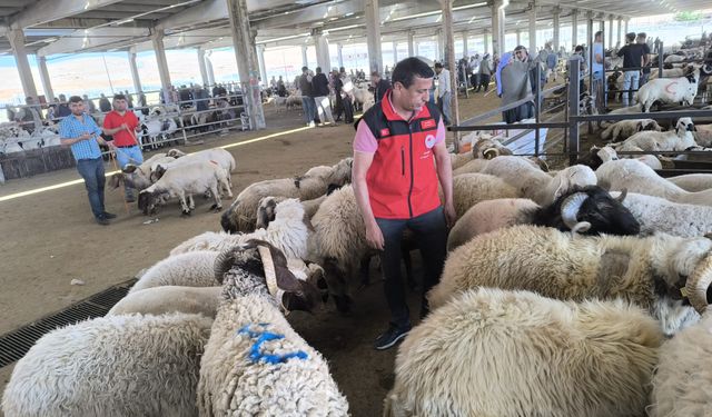 Şanlıurfa’da Kurban Mesaisi: Uygunsuz Hayvan Satışına Müdahale