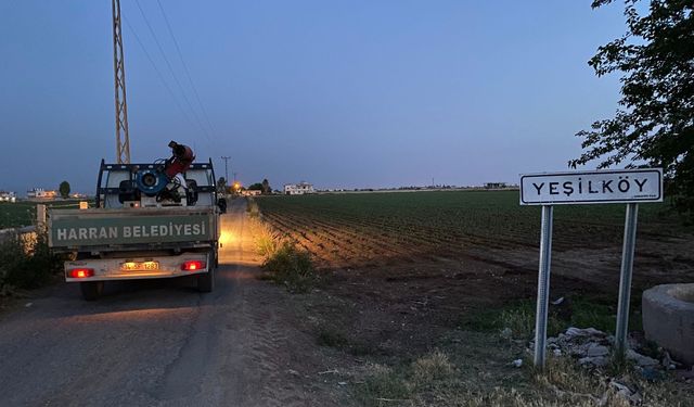 Harran'da İlaçlama Çalışmaları Halk Sağlığı İçin Devam Ediyor