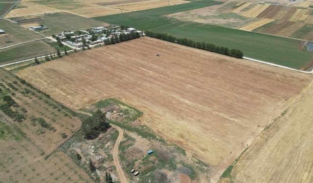 Büyükşehir Belediyesi’nden Soya Ekimiyle Toprak Verimliliğine Katkı
