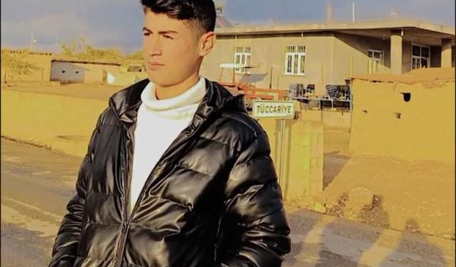 Şanlıurfalı tarım işçisinden acı haber geldi