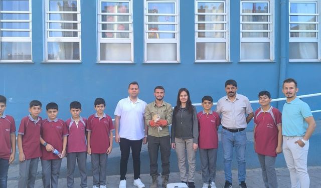 Şanlıurfa’da Sınıfa Giren Peçeli Baykuş Koruma Altına Alındı