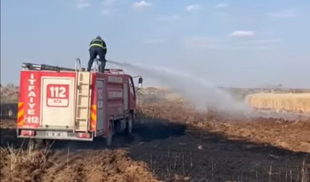 Viranşehir'de 170 dönüm kül oldu