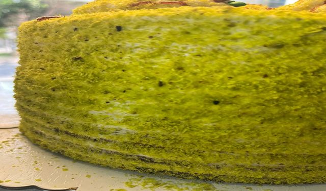 Şanlıurfa’da Pastada Böcek ve Güve Çıktı: 4 İşletmeye 189 Bin TL Ceza