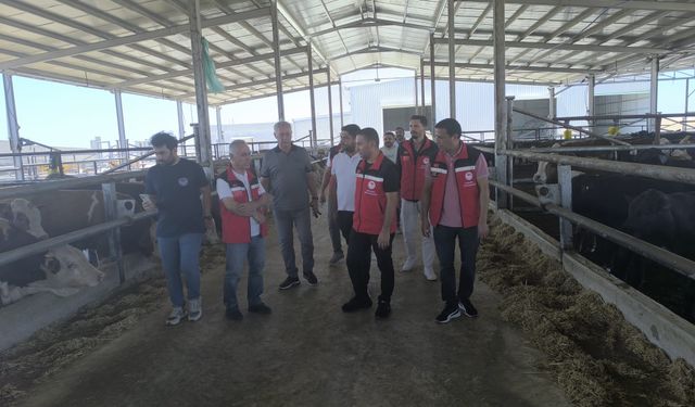 Türkiye’nin En Büyük Besi OSB’si Üretime Güç Katıyor