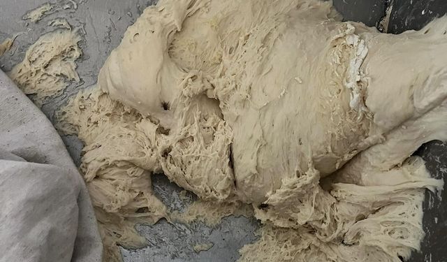Şanlıurfa’da Fırın Rezaleti! Pislik İçindeki İşletmeye Ceza