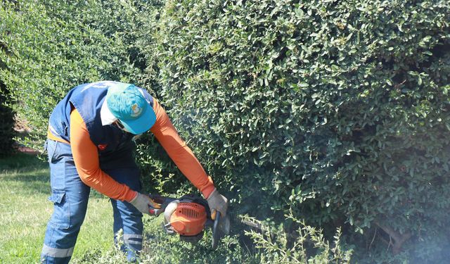 Haliliye Belediyesi’nden Parklara Yenileme Ve Güzelleştirme Çalışması