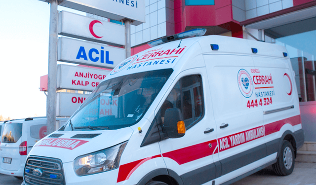 Şanlıurfa’dan Ordu’ya Acı Yolculuk: Uçurum Kazasında 3 Kişi Hayatını Kaybetti