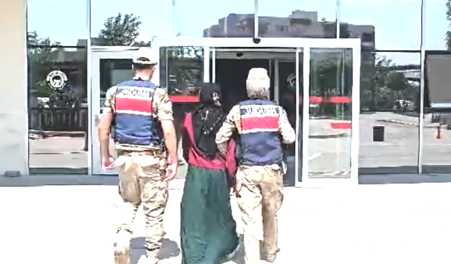 Şanlıurfa Jandarmasından Dev Operasyon: Çok Sayıda Silah ve Kenevir Ele Geçirildi