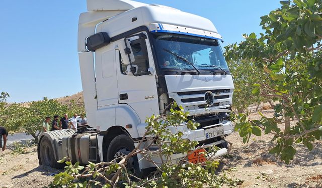 Şanlıurfa'da tır ile otomobil çarpıştı